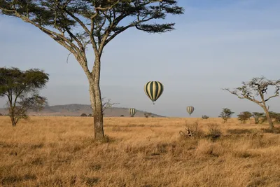 DSC_3770 (Large).JPG